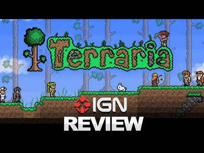 Terraria Steam Geschenk