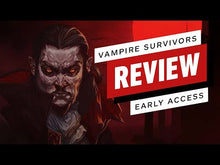 Vampire Survivors Steam-Konto