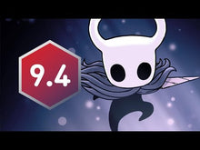 Hollow Knight Steam-Konto