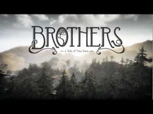 Brüder: Eine Geschichte von zwei Söhnen Dampf CD Key