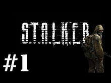 S.T.A.L.K.E.R.: Schatten von Tschernobyl Steam CD Key