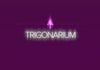 Trigonarium Dampf CD Key